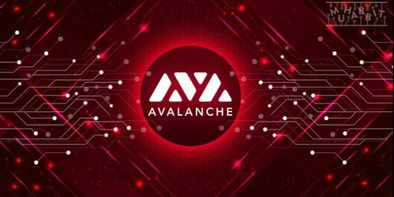 Blockchain Platformu Avalanche 230 Milyon Dolarlık Yatırım Aldı