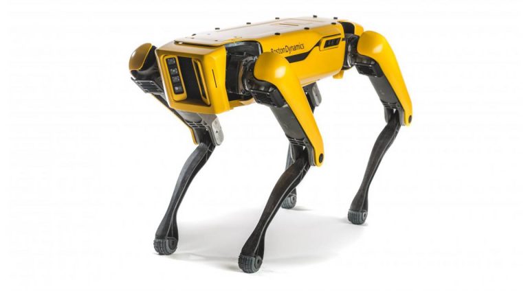 Robot Köpek Spot Asayiş Sorumlusu Olacak