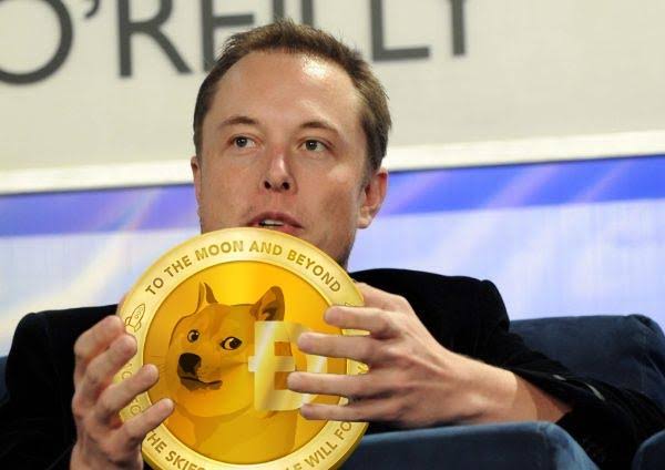 Elon Musk'ın Köpeğinin Adını Taşıyan Kripto Para Flokinomiks Büyük Artış Gösterdi