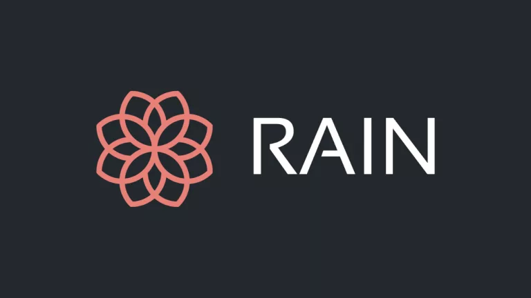 Kripto Varlık Platformu Rain 110 Milyon Dolar Yatırım Aldı